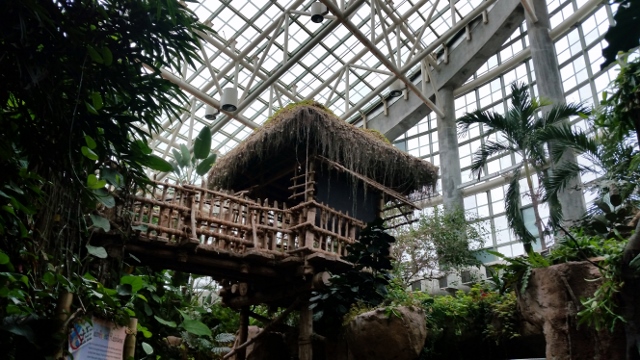 Amazon Rainforest Observation Tower exhitbit Audubon Aquarium of the