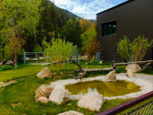 Warthog Habitat Cheyenne Mountain Zoo