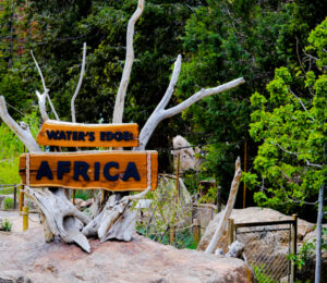 Water's Edge African Signage Cheyenne Mountain Zoo