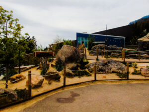 Water's Edge Cheyenne Mountain Zoo 2