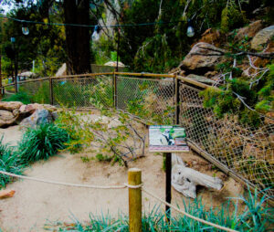 Water's Edge Cheyenne Mountain Zoo 3