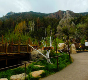 Water's Edge Cheyenne Mountain Zoo 4