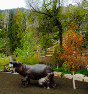 Water's Edge Cheyenne Mountain Zoo 5