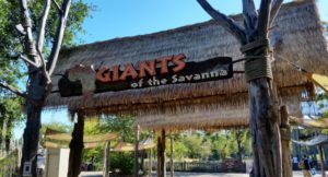 Giants of the Savannah Sign Africa Dallas Zoo