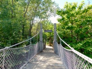 Gorilla Trail Bridge Sedgwick County Zoo Wichita KS