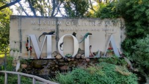MOLA Muesum of Living Art Fort Worth Zoo