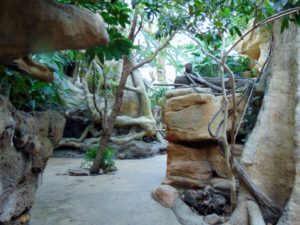 Rainforest Jungle Building Tulsa Zoo