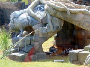 Tiger Habitat Lost Kingdom Tulsa Zoo