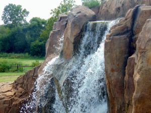 Waterfall Elephant Habitat Oklahoma City Zoo