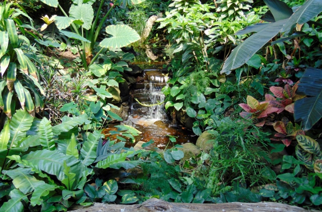 Waterfall Jungle Building Sedgwick County Zoo Wichita KS - The Zoo Review