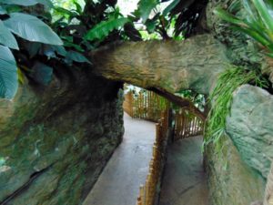 Tropical Rainforest Trail Dallas World Aquarium Dallas TX